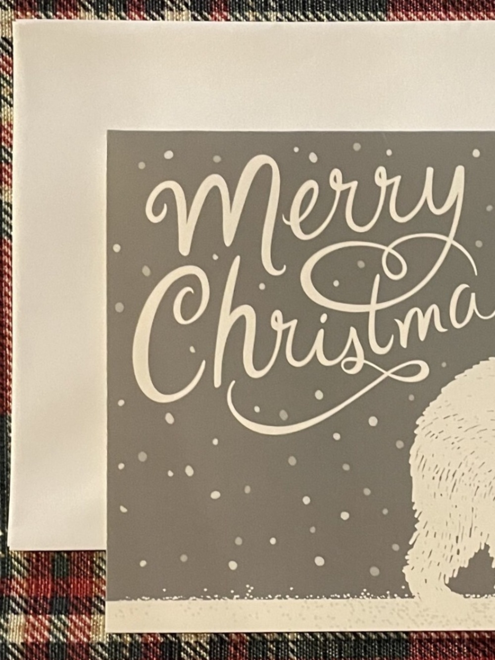 Merry Christmas Polar Bear Snow Gray Red Scarf Card Set 10 & White Envelopes NEW